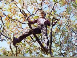 Clic pour agrandir l'image (1024x768 pixels; 199 KB)