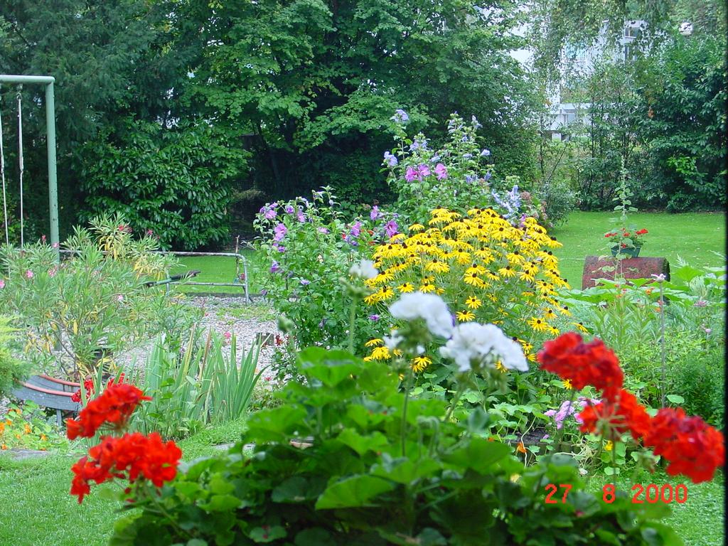 clic ici pour suivante