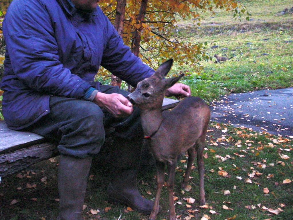 clic ici pour suivante