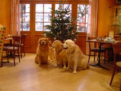 Clic pour agrandir l'image (1024x768 pixels; 126 KB)