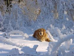 Clic pour agrandir l'image (1024x768 pixels; 131 KB)