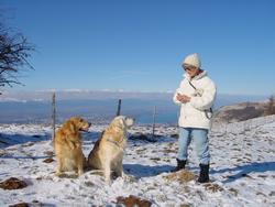 Pour agrandir l'image (1024x768 pixels; 114 KB)