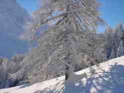 Cliquer pour agrandir l'image (1024x768 pixels; 72 KB)