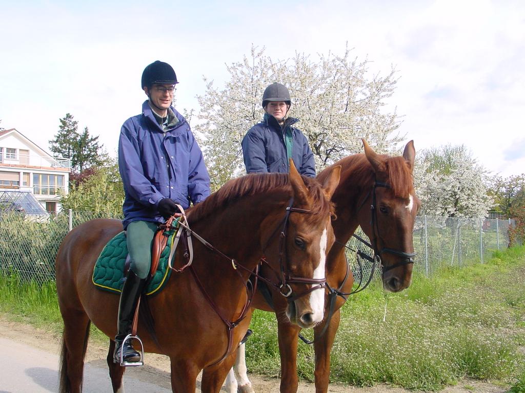 clic ici pour suivante