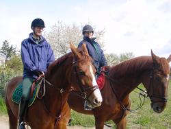 Clic pour agrandir l'image (1024x768 pixels; 118 KB)