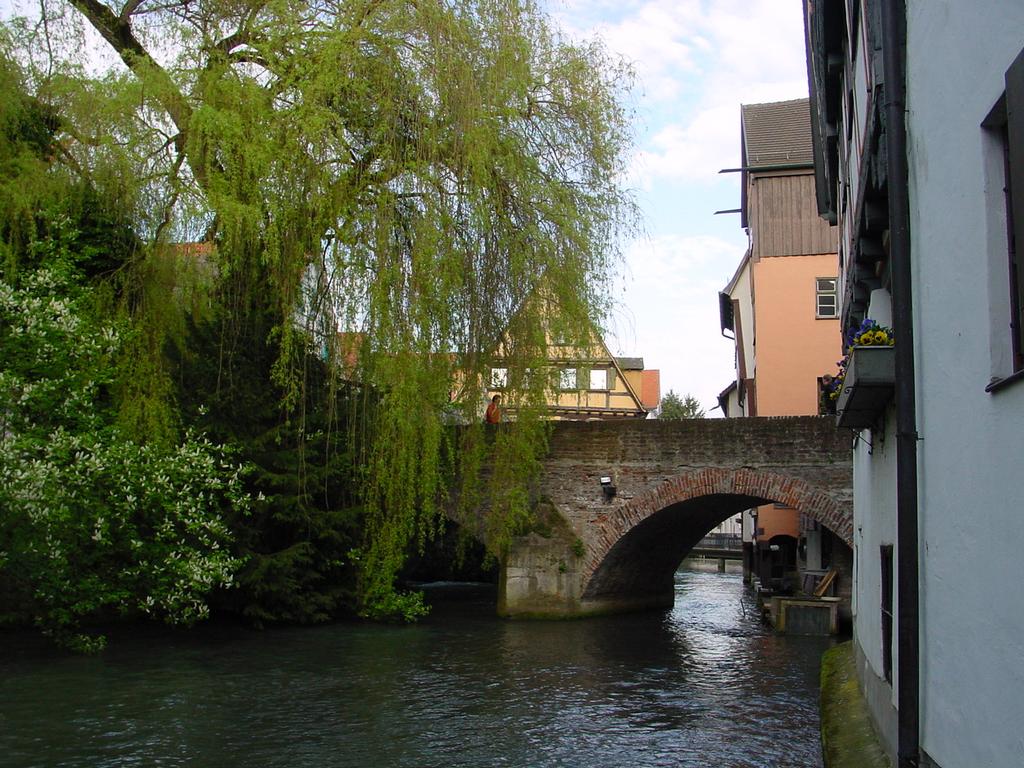 clic ici pour suivante