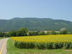 Clic pour agrandir l'image (1024x768 pixels; 132 KB)