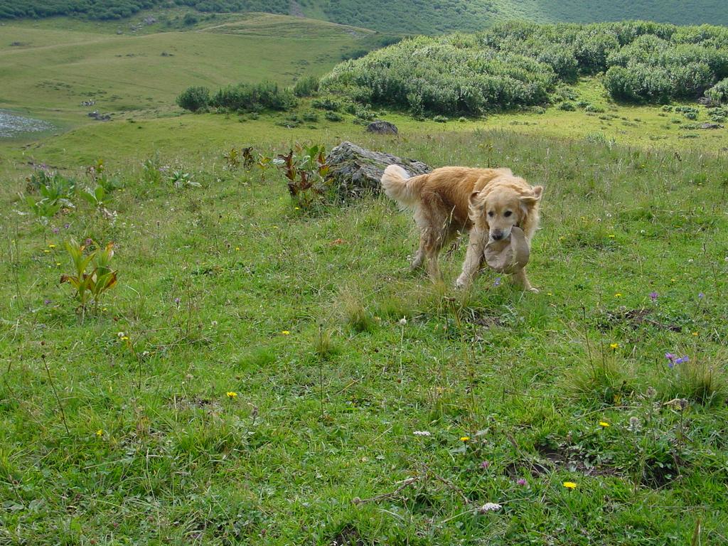 clic ici pour suivante