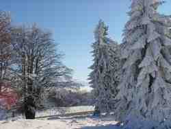 Clic pour agrandir l'�mage (1024x768 pixels; 169 KB)