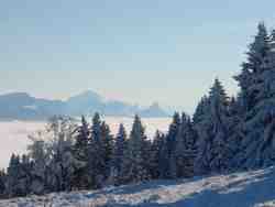 Clic pour agrandir l'�mage (1024x768 pixels; 97 KB)