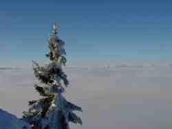 Clic pour agrandir l'�mage (1024x768 pixels; 42 KB)