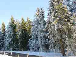 Clic pour agrandir l'�mage (1024x768 pixels; 214 KB)