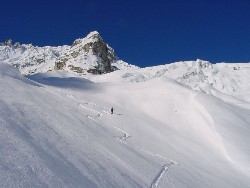 600.jpg (58545 bytes)