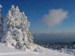 1616.jpg (66302 bytes)