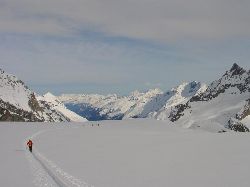 1760.jpg (69248 bytes)