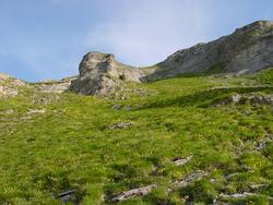 Clic pour agrandir l'image (1024x768 pixels; 176 KB)