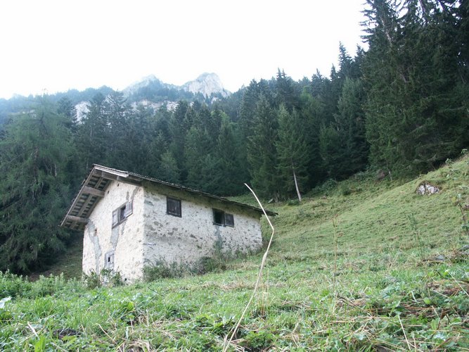 Click to see next picture