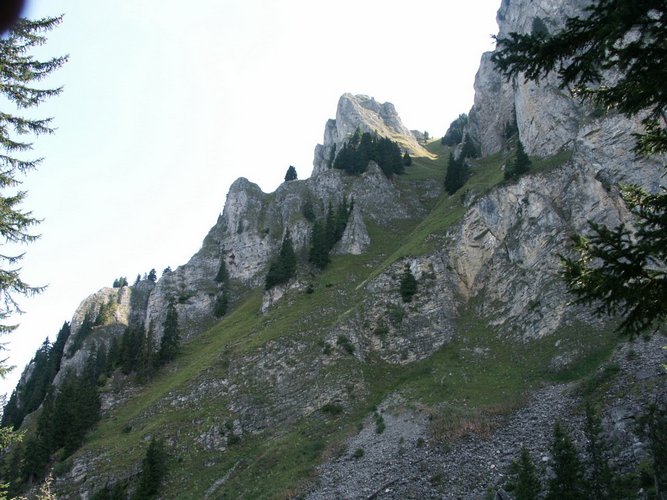 Click to see next picture