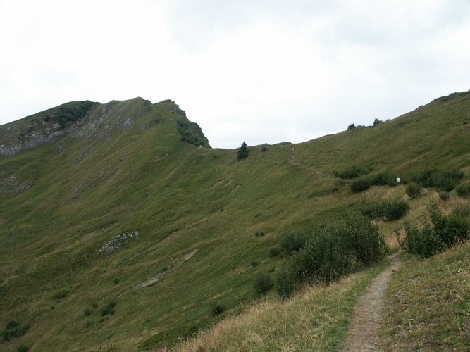 Click to see next picture