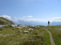 Click to see big picture (667x500 pixels; 78 KB)