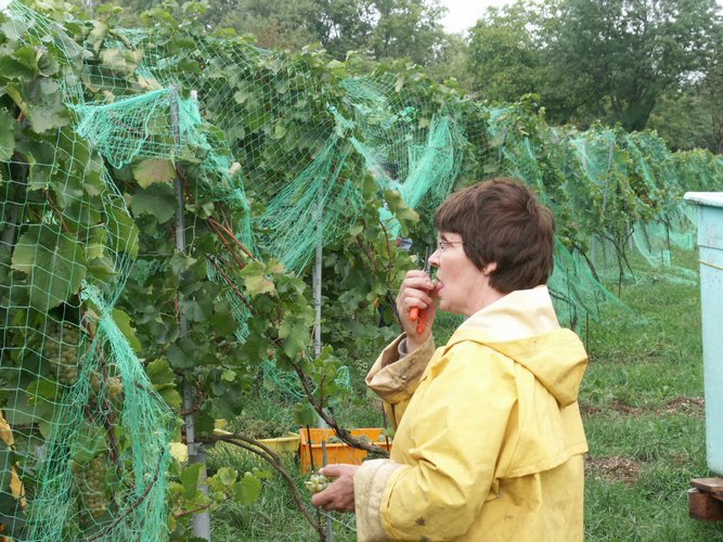 Click to see next picture