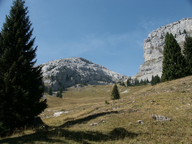 Click to see next picture