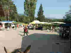 Click to see big picture (667x500 pixels; 92 KB)