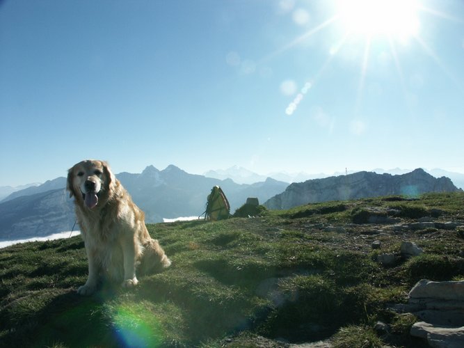 Click to see next picture