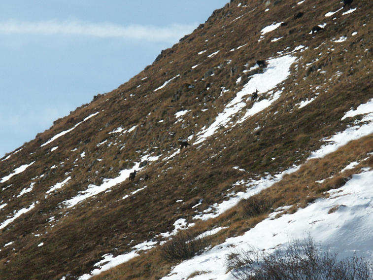 Click to see next picture