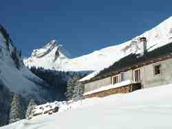 Click to see big picture (800x600 pixels; 42 KB)