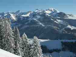 Click to see big picture (800x600 pixels; 52 KB)