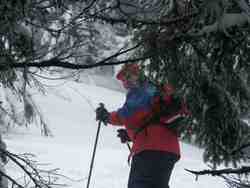 Cliquer pour agrandir l'image (800x600 :  53 KB pixels); 18.01.2004 13:14