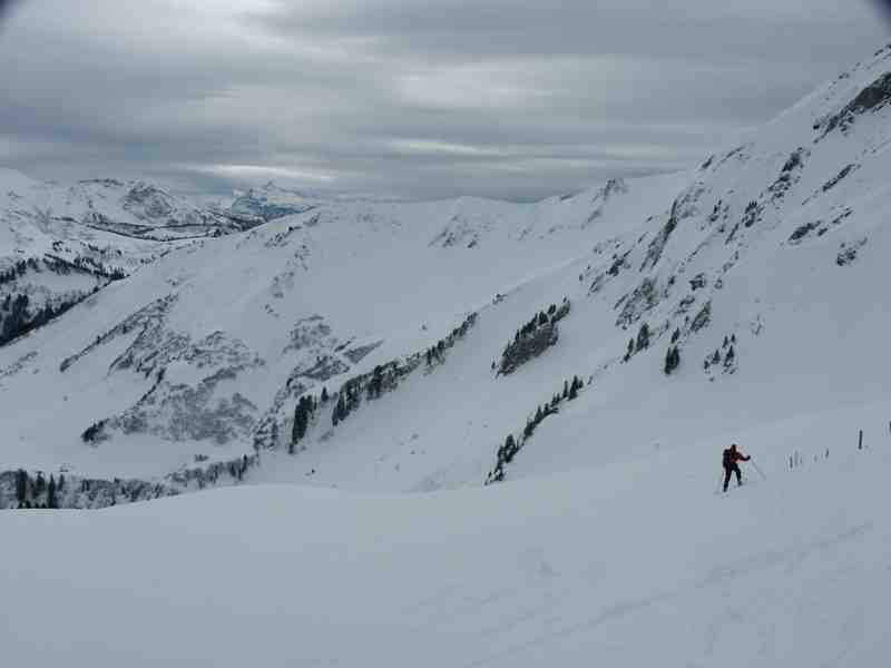 Clic ici pour voir l'image suivante