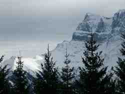 Cliquer pour agrandir l'image (800x600 :  47 KB pixels); 24.01.2004 12:58