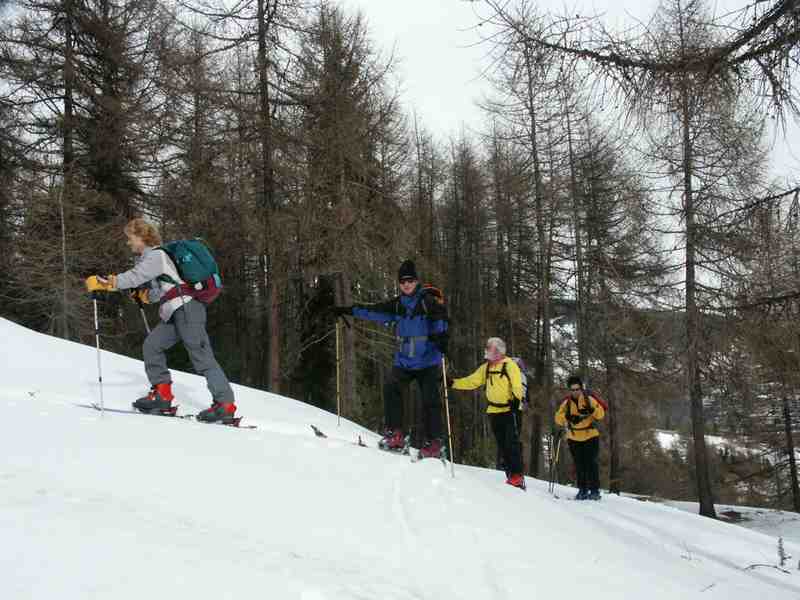 Clic ici pour voir l'image suivante