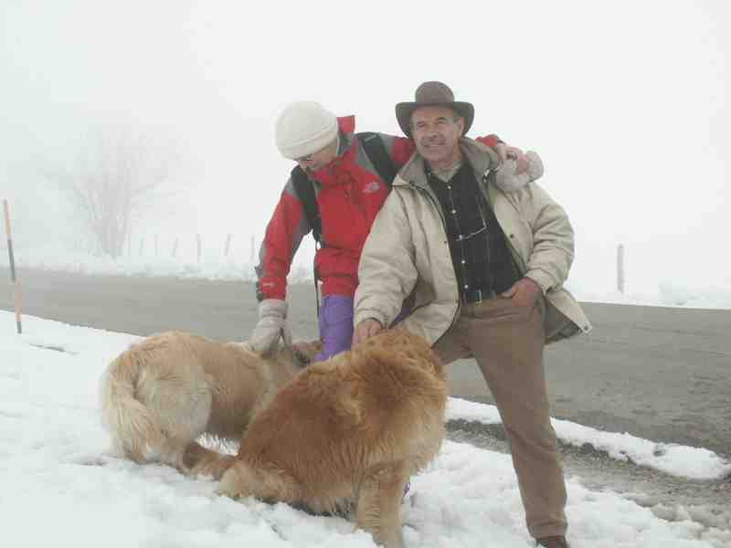 Clic ici pour voir l'image suivante