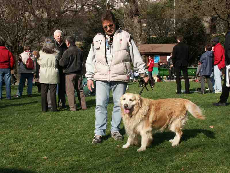 Clic ici pour voir l'image suivante