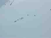 Cliquer pour agrandir l'image (800x600 :  10 KB pixels); 18.04.2004 08:51