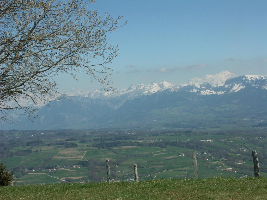 Clic pour l'image suivante