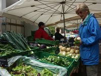 Cliquer pour agrandir l'image (800x600 :  45 KB pixels); 01.05.2004 10:29