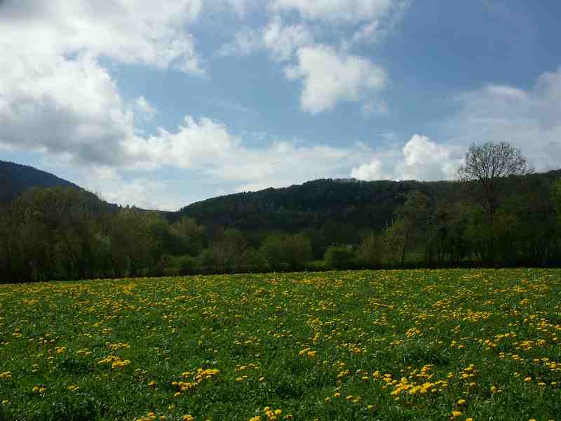 Clic ici pour voir l'image suivante