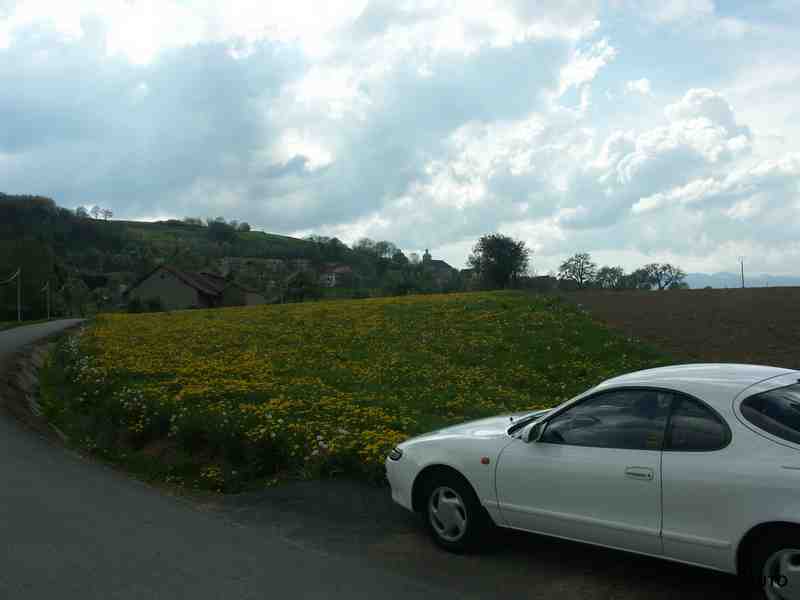 Clic ici pour voir l'image suivante