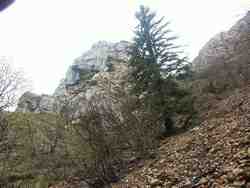 Cliquer pour agrandir l'image (800x600 :  53 KB pixels); 06.05.2004 11:16