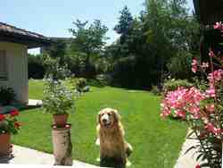 Cliquer pour agrandir l'image (800x600 :  57 KB pixels); 28.07.2004 02:36