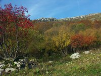 Cliquer pour agrandir l'image (2560x1920 pixels; 14400 KB)