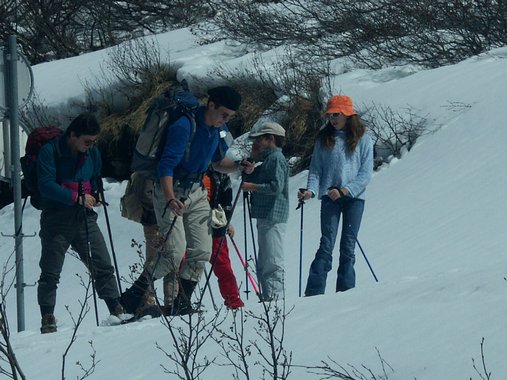 Clic ici pour voir l'image suivante