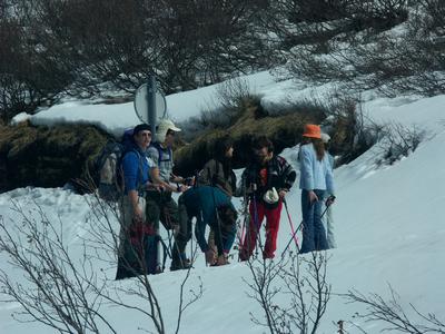 Cliquer pour agrandir l'image (507x380 pixels; 63 KB)