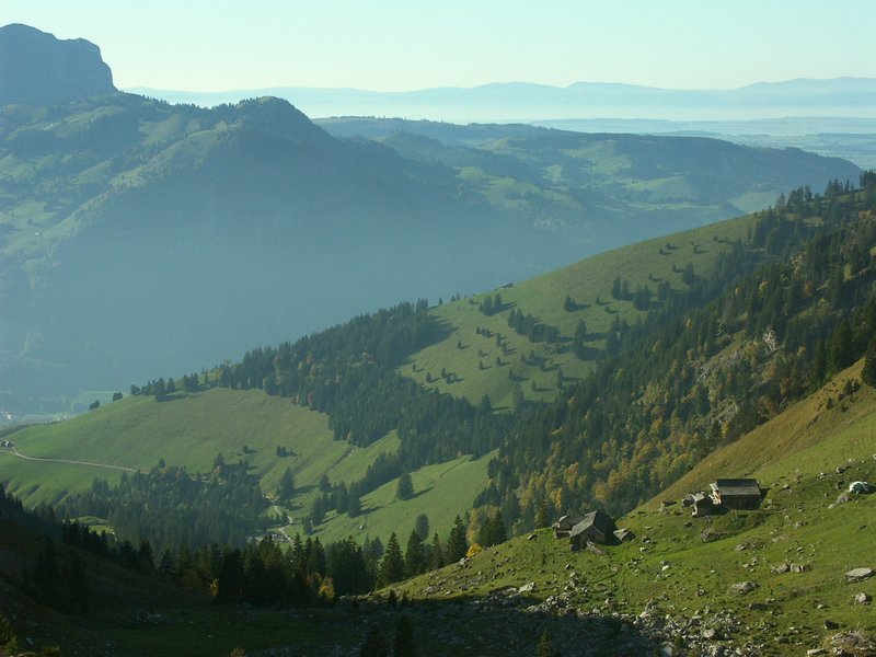 Clic ici pour voir l'image suivante