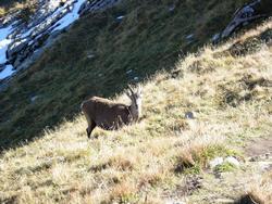 Cliquer pour agrandir l'image (800x600 pixels; 159 KB)