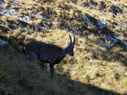 Cliquer pour agrandir l'image (800x600 pixels; 178 KB)